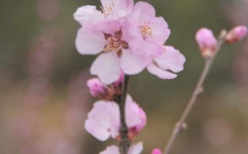 �������ǝ��׵Ļ�������3ƪ