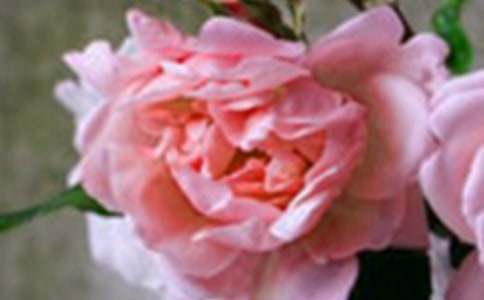 �_��ӛ����̎�Ļ���С�W(xu��)����