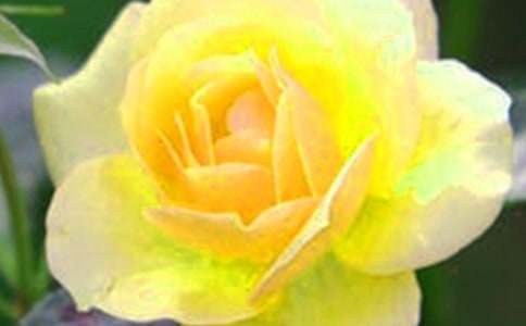 �_��ӛ����Ļ�������15ƪ����(y��u)�x��