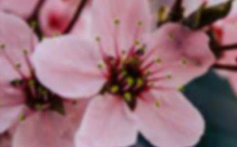 �_��ӛ����̎�Ļ������Ԓ�}����700�֣����x25ƪ��