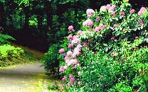 ��ӛ�����@�������x�������