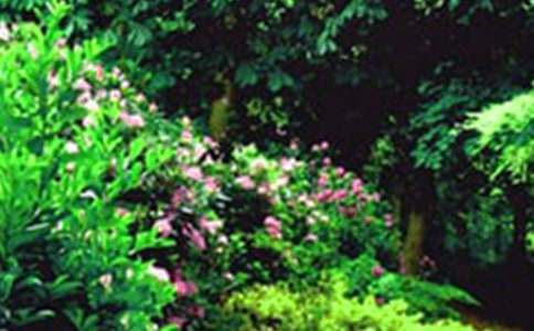 ���뻨�@����15ƪ