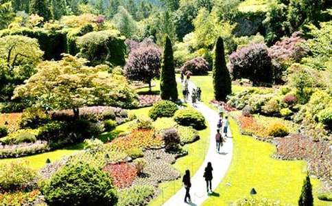 ��(m��ng)�뻨�@����