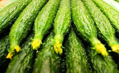 黃瓜作文600字合集6篇