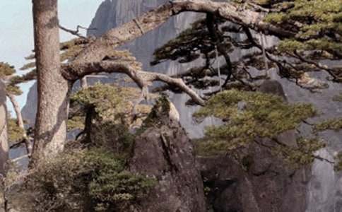 �P(gu��n)���茑(xi��)�Sɽ�F�ă�(y��u)������