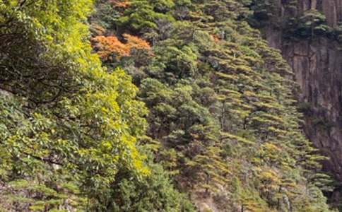 �Sɽ�Ľ^���ģ�ͨ��19ƪ��