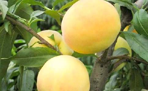 ���S������400��