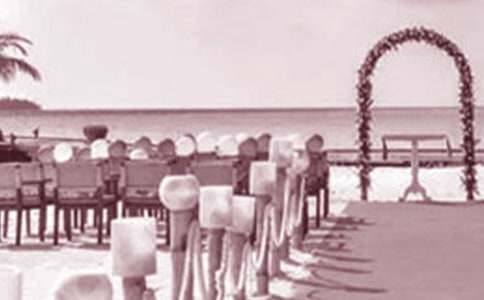 ���H��Ů����Y�ϵ��R�~�����x12ƪ��