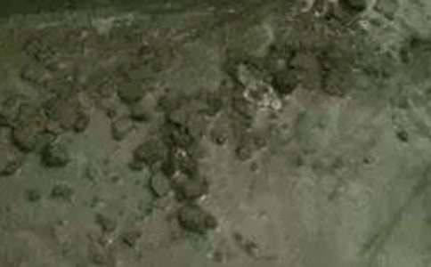 ���᡿�������I�u��ͬ15ƪ