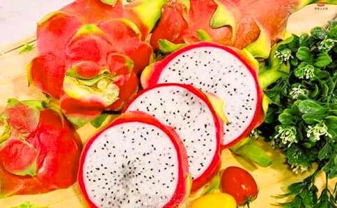 火龍果說(shuō)明文400字作文