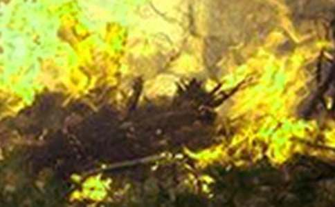 ���(z��i)�Ԅӈ�(b��o)��ϵ�y(t��ng)���b��Ҋͨ�������δ�ʩ