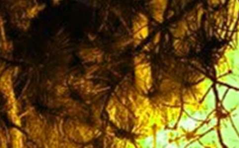 �P(gu��n)�ڻ��(z��i)������600��