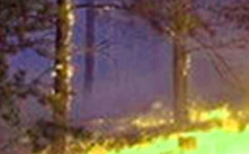 ��������h(yu��n)�x���(z��i)����5ƪ