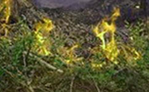 �h(yu��n)�x���(z��i)���(��i)��������6ƪ