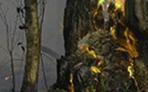 我親歷的一次火災(zāi)作文