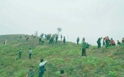 祭祖作文600字(精選46篇)