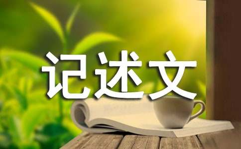 關(guān)于追求的記述文500字