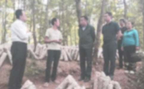 �`���o�z�o�əzӑ��