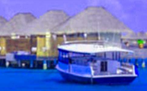 �ҵļ������Լ��������ģ����x15ƪ��