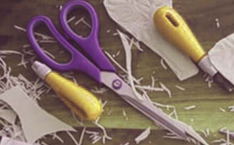 在公平島上的石頭剪刀布作文800字