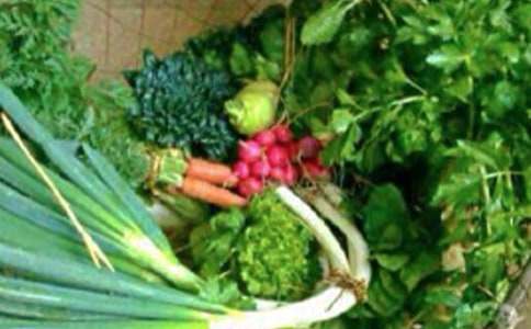 �����������L����