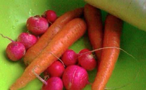 ���������ă�(y��u)������