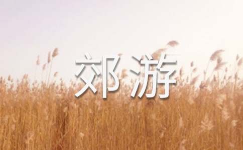 周末去郊游作文600字