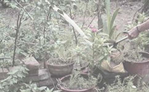 ��������600�֣����x25ƪ��