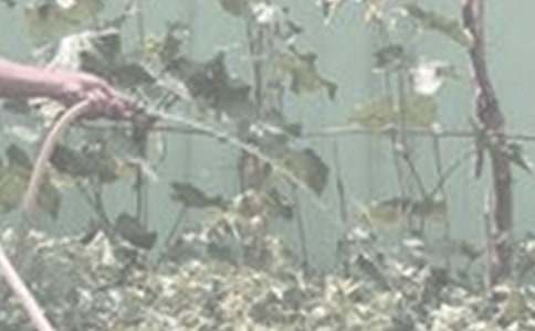 ��������400�֣����x30ƪ��