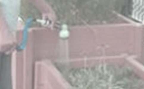 �P(gu��n)�ڝ����Ľ̌W(xu��)�O(sh��)Ӌ(j��)