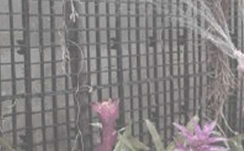 ����ˮ�������Ԇ�