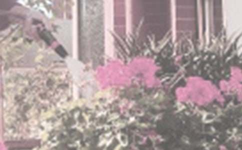 澆花看圖作文12篇