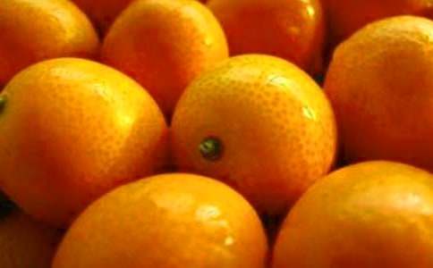 金桔樹(shù)的優(yōu)秀作文