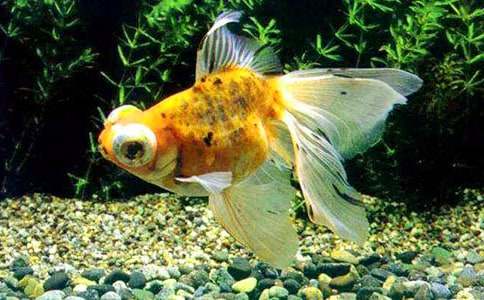 �^��С���~����500��