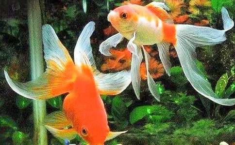 ���~ͯԒ���ģ�ͨ��24ƪ��