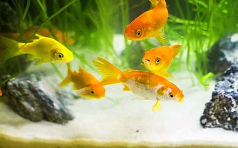 ���~ͯԒ���ģ����x25ƪ��