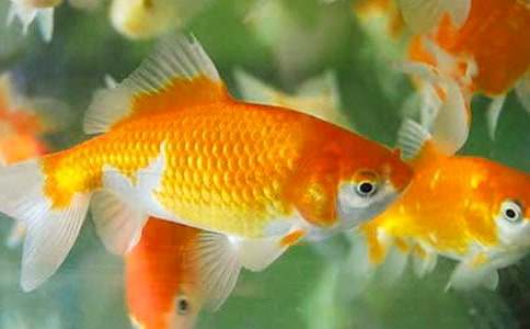 �����T�����~ͯԒ������ƪ