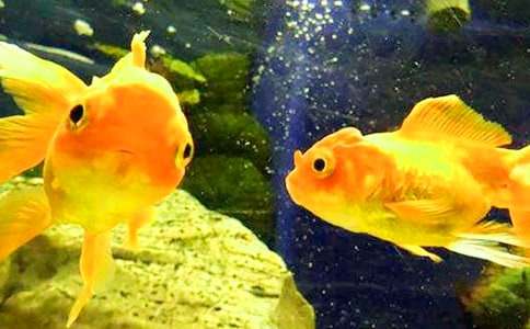 �^����~С�W(xu��)����