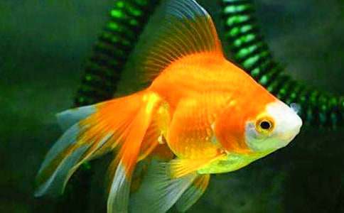 С���~��С���~800�����ģ�ͨ��7ƪ��