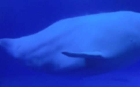 ���ǜ���С�L�~(y��)�L(zh��ng)��L����700��