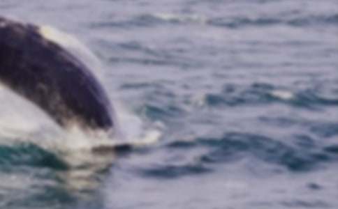 ���L�~����(y��u)��̰�