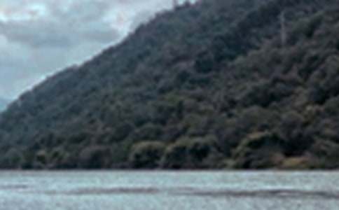 ���P(gu��n)���B��ɫ����