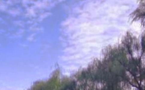 ��B���B�ľ�ɫ����