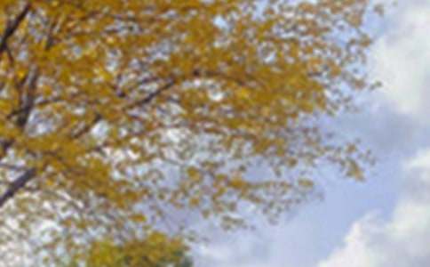 ���B�ľ�ɫ��(y��u)������