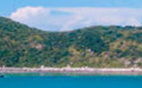 ���_��ľ�ɫ����300��