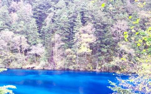 ��կ�ϵ�ˮ���ąR��8ƪ