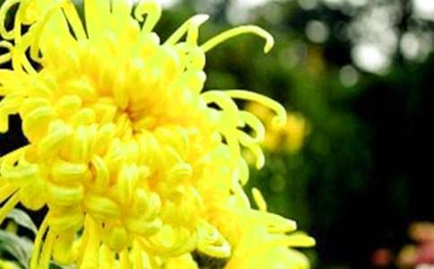 �ջ������������ķ���