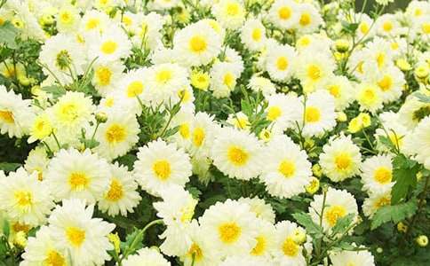 ���ջ��������������