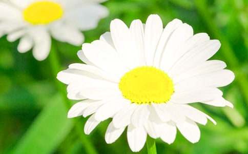 �d��(gu��)���@�ջ�չ����