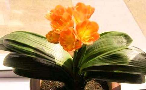 ����?sh��)���������m����